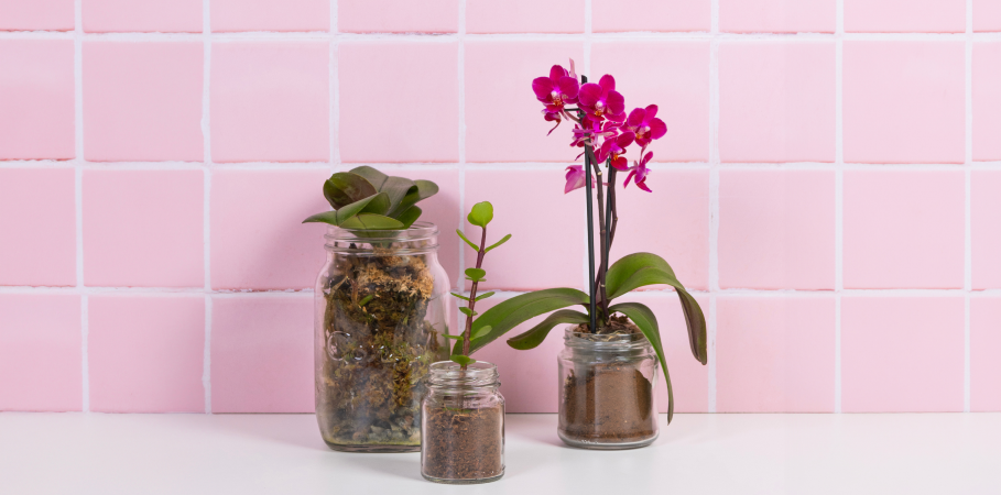 ELEVATE YOUR SPACE WITH UPCYCLED ELEGANCE
