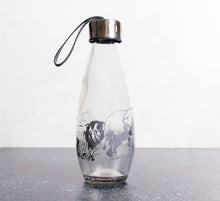 Load image into Gallery viewer, Consol Glass Big 5 Water Bottle 500ml With Handle Lid
