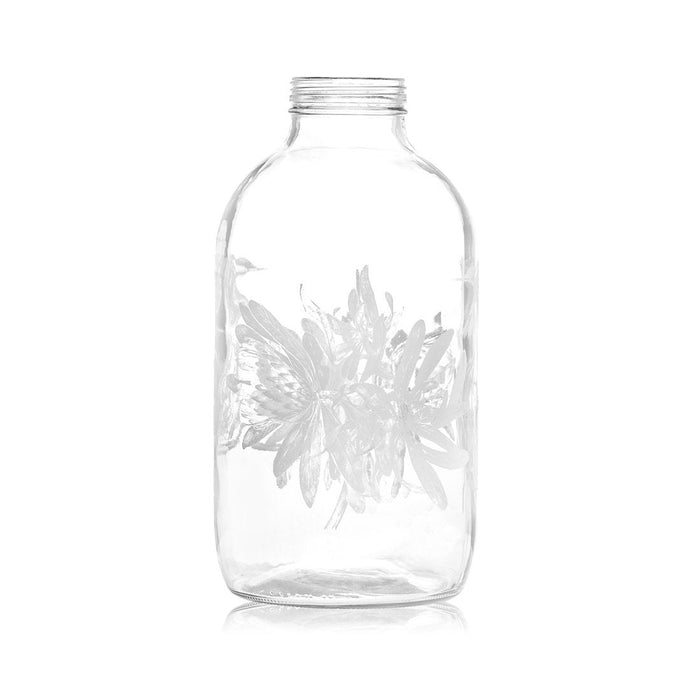 Consol Glass Protea Jar 4000ml (4L)